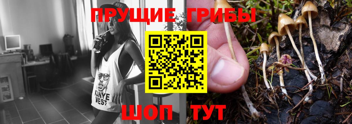 Псилоцибиновые грибы прущие грибы Гулькевичи